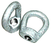 Hot Dip Galvanized Forged Eyelets (PLHP1092)